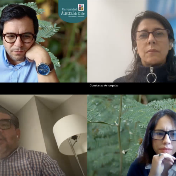 Universidad Austral de Chile consolida su Diplomado en…